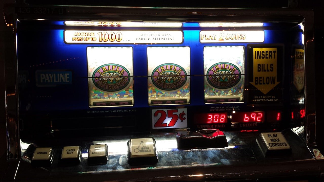 555ww bet